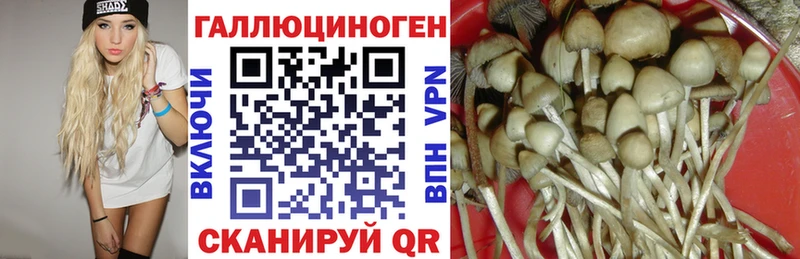 Псилоцибиновые грибы GOLDEN TEACHER дарнет шоп Вятские Поляны